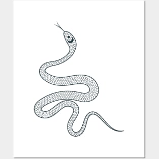 Hand Drawn Mystical Snake Posters and Art